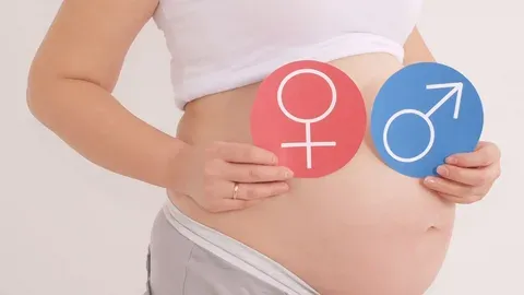 when can i know the sex of the baby